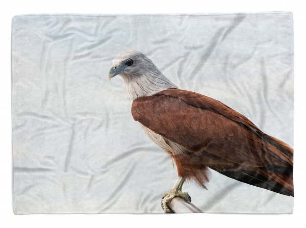 Paul Sinus Art Handtuch Strandhandtuch Saunatuch Kuscheldecke mit Tiermotiv Brahminenweih Grei