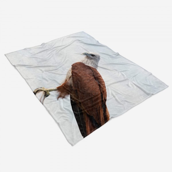 Paul Sinus Art Handtuch Strandhandtuch Saunatuch Kuscheldecke mit Tiermotiv Brahminenweih Grei Angebote