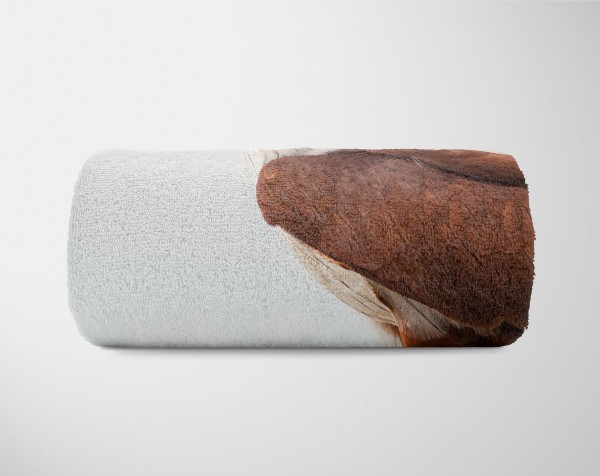 Paul Sinus Art Handtuch Strandhandtuch Saunatuch Kuscheldecke mit Tiermotiv Brahminenweih Grei Angebote