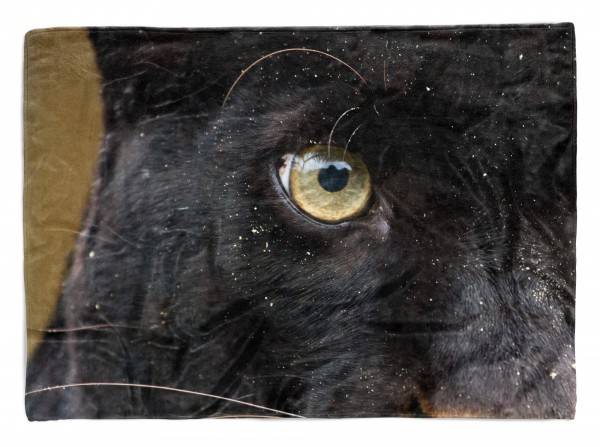 Paul Sinus Art Handtuch Strandhandtuch Saunatuch Kuscheldecke mit Tiermotiv Auge eines Panther