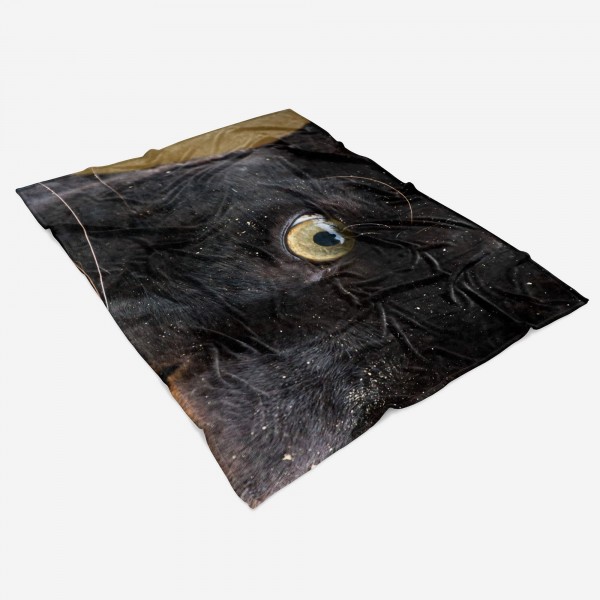 Paul Sinus Art Handtuch Strandhandtuch Saunatuch Kuscheldecke mit Tiermotiv Auge eines Panther Hotsell