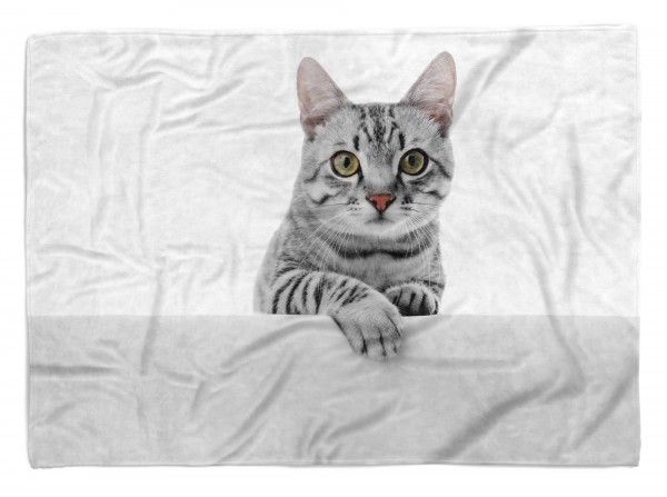 Paul Sinus Art Handtuch Strandhandtuch Saunatuch Kuscheldecke mit Tiermotiv süße Katze