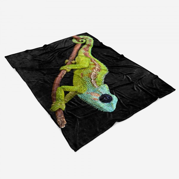Paul Sinus Art Handtuch Strandhandtuch Saunatuch Kuscheldecke mit Tiermotiv Chamäleon Fabrikpreis