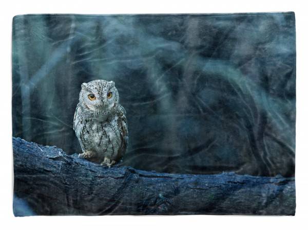 Paul Sinus Art Handtuch Strandhandtuch Saunatuch Kuscheldecke mit Tiermotiv Eule im Wald