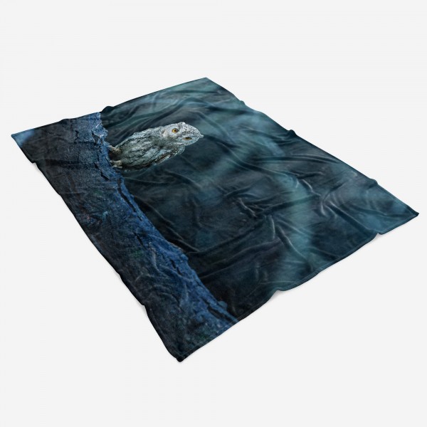 Paul Sinus Art Handtuch Strandhandtuch Saunatuch Kuscheldecke mit Tiermotiv Eule im Wald Großer Ausverkauf