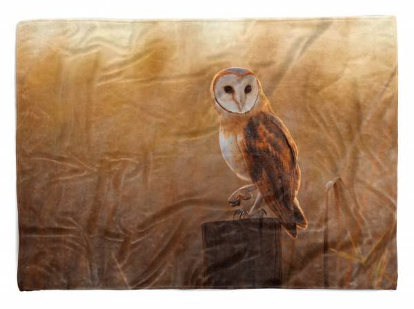 Paul Sinus Art Handtuch Strandhandtuch Saunatuch Kuscheldecke mit Tiermotiv schöne Eule