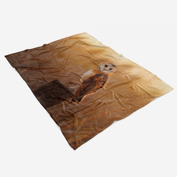 Paul Sinus Art Handtuch Strandhandtuch Saunatuch Kuscheldecke mit Tiermotiv schöne Eule Flash Sale