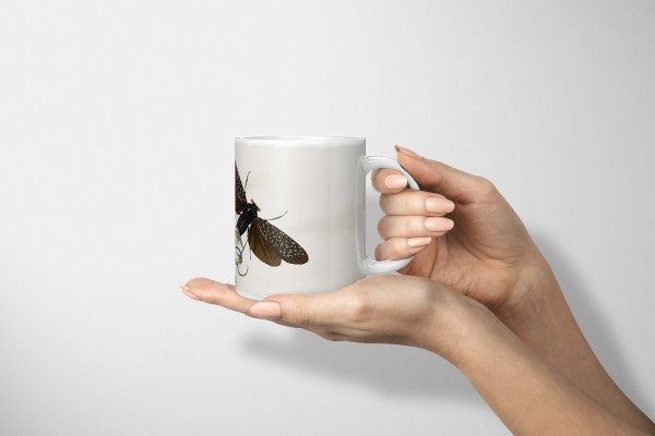 Paul Sinus Art Dekorative Tasse mit schönem Motiv Blumen Blüten Blumenstrauß Netzflügler Frühling Bis zu 60% Rabatt