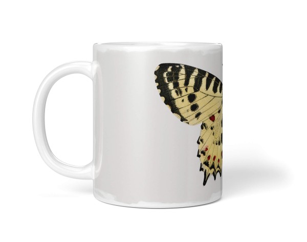 Paul Sinus Art Dekorative Tasse mit schönem Motiv Schmetterling Vintage Kunstvoll Pastelltöne 50% Rabatt für begrenzte Zeit