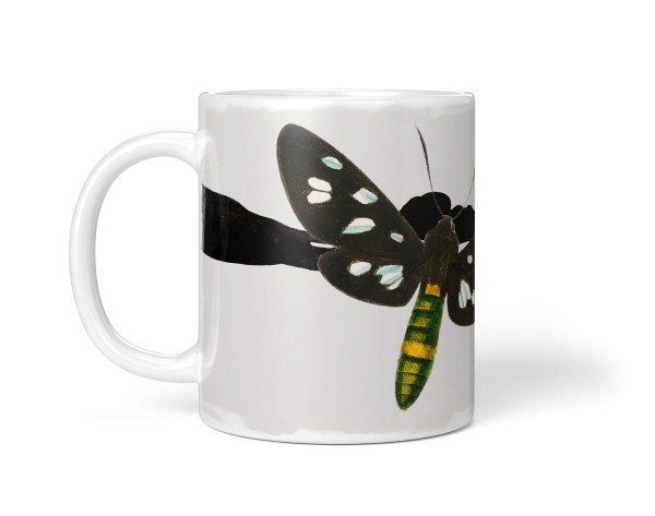Paul Sinus Art Dekorative Tasse mit schönem Motiv einzigartiges Design Netzflügler goldener Stern Kunstvoll Rabatte dieses Monats