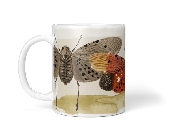 Paul Sinus Art Dekorative Tasse mit schönem Motiv Netzflügler Vintage Insekten Brauntöne schönem Design Angebote
