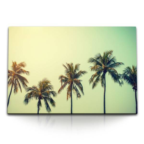 Paul Sinus Art 120x80cm Wandbild auf Leinwand Kokospalmen Palmen Süden Sonnenschein Sommer