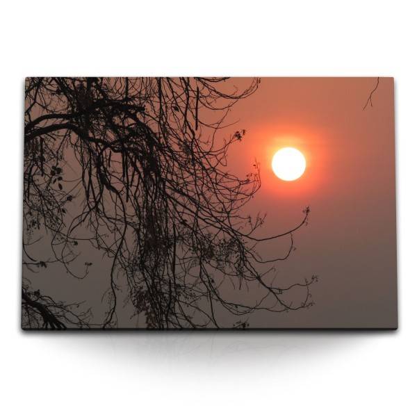 Paul Sinus Art 120x80cm Wandbild auf Leinwand Abendsonne Baumkrone Natur Abenddämmerung
