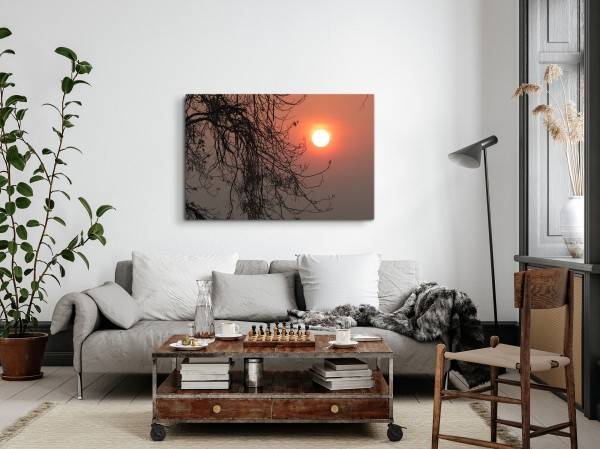 Paul Sinus Art 120x80cm Wandbild auf Leinwand Abendsonne Baumkrone Natur Abenddämmerung Neueste Mode