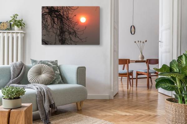 Paul Sinus Art 120x80cm Wandbild auf Leinwand Abendsonne Baumkrone Natur Abenddämmerung Neueste Mode