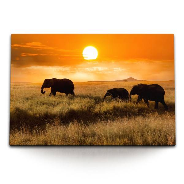 Paul Sinus Art 120x80cm Wandbild auf Leinwand Afrikanische Landschaft Elefanten Tierfotografie Safari