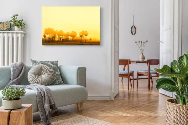Paul Sinus Art 120x80cm Wandbild auf Leinwand Wüstenoase Oase Rot Palmen Bäume Sonnenschein Räumungsverkauf