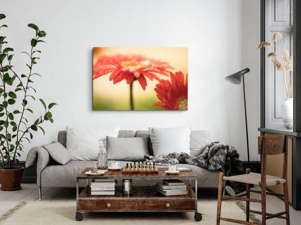 Paul Sinus Art 120x80cm Wandbild auf Leinwand Gerbera Blumen Blüten Rot Wassertropfen Kunstvoll Tägliche Deals