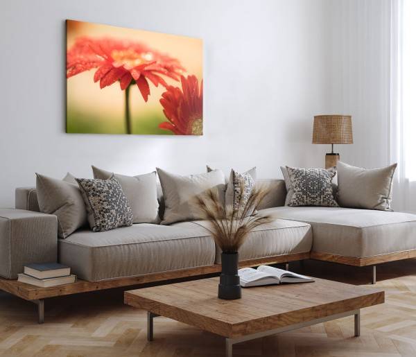 Paul Sinus Art 120x80cm Wandbild auf Leinwand Gerbera Blumen Blüten Rot Wassertropfen Kunstvoll Tägliche Deals