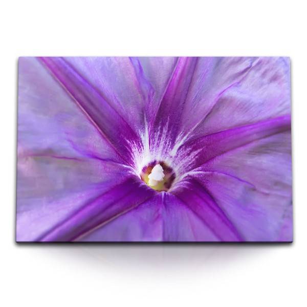 Paul Sinus Art 120x80cm Wandbild auf Leinwand Nahaufnahme Blume Blüte Natur Frühling Violett