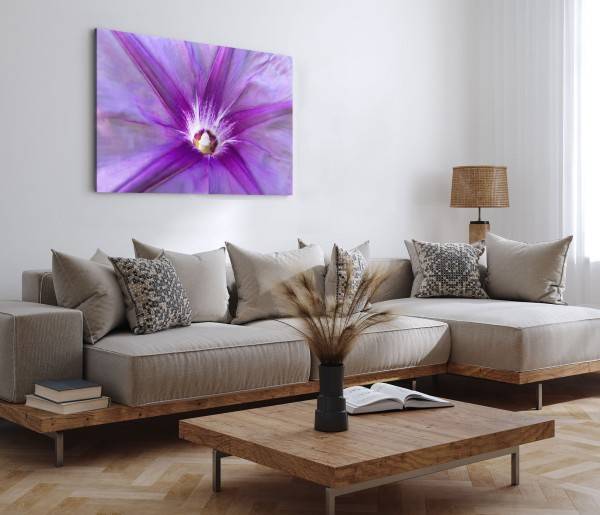 Paul Sinus Art 120x80cm Wandbild auf Leinwand Nahaufnahme Blume Blüte Natur Frühling Violett Sonderangebote