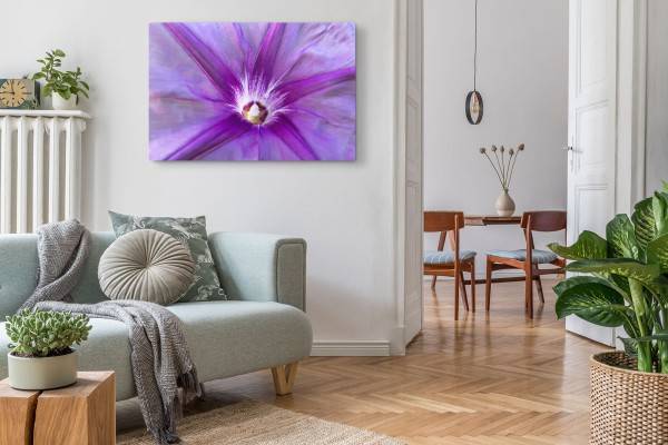 Paul Sinus Art 120x80cm Wandbild auf Leinwand Nahaufnahme Blume Blüte Natur Frühling Violett Sonderangebote