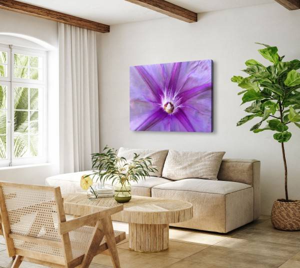 Paul Sinus Art 120x80cm Wandbild auf Leinwand Nahaufnahme Blume Blüte Natur Frühling Violett Sonderangebote