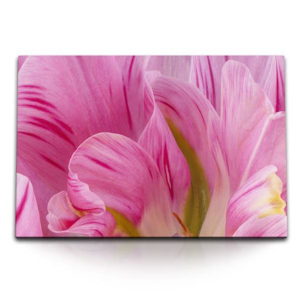 Paul Sinus Art 120x80cm Wandbild auf Leinwand Rosa Blüte Blume Nahaufnahme Kunstvoll