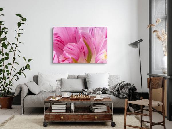Paul Sinus Art 120x80cm Wandbild auf Leinwand Rosa Blüte Blume Nahaufnahme Kunstvoll Begrenzte Freigabe