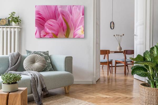 Paul Sinus Art 120x80cm Wandbild auf Leinwand Rosa Blüte Blume Nahaufnahme Kunstvoll Begrenzte Freigabe
