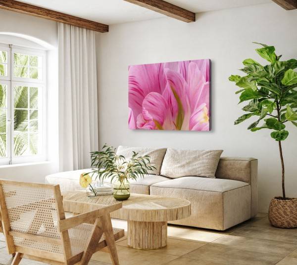 Paul Sinus Art 120x80cm Wandbild auf Leinwand Rosa Blüte Blume Nahaufnahme Kunstvoll Begrenzte Freigabe