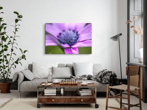 Paul Sinus Art 120x80cm Wandbild auf Leinwand Blume Blüte Violett Nahaufnahme Kunstvoll Natur JETZT KAUFEN