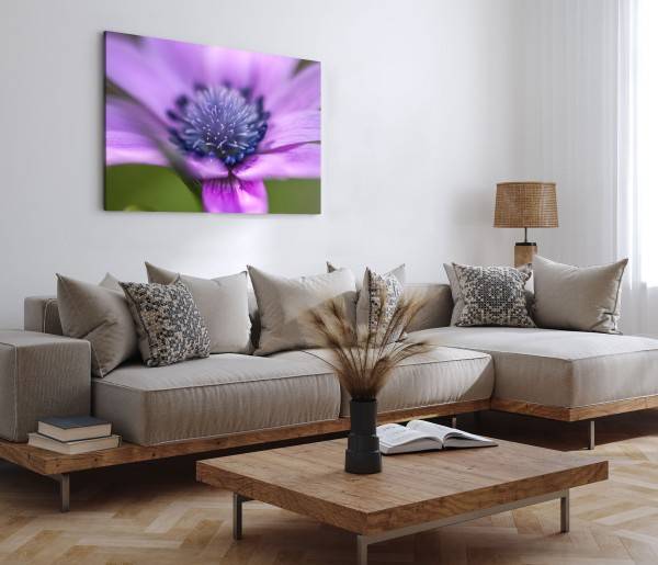 Paul Sinus Art 120x80cm Wandbild auf Leinwand Blume Blüte Violett Nahaufnahme Kunstvoll Natur JETZT KAUFEN