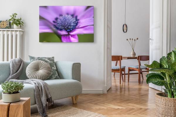 Paul Sinus Art 120x80cm Wandbild auf Leinwand Blume Blüte Violett Nahaufnahme Kunstvoll Natur JETZT KAUFEN