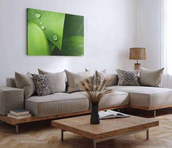 Paul Sinus Art 120x80cm Wandbild auf Leinwand Makrofotografie grüne Pflanze Natur Wassertropfen Regentropfen Neueste Stile