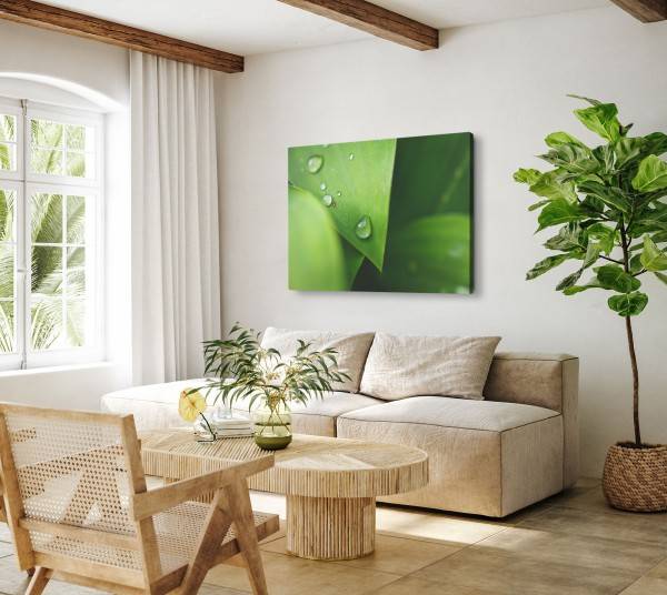 Paul Sinus Art 120x80cm Wandbild auf Leinwand Makrofotografie grüne Pflanze Natur Wassertropfen Regentropfen Neueste Stile