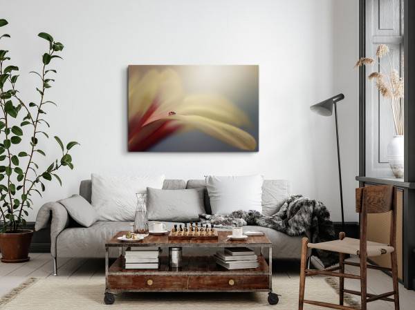 Paul Sinus Art 120x80cm Wandbild auf Leinwand Marienkäfer Makrofotografie Blume Blüte Kunstvoll Letzte 2 Tage