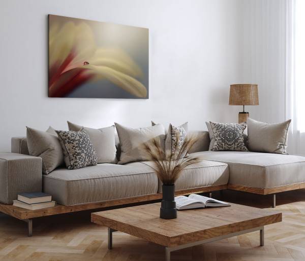 Paul Sinus Art 120x80cm Wandbild auf Leinwand Marienkäfer Makrofotografie Blume Blüte Kunstvoll Letzte 2 Tage