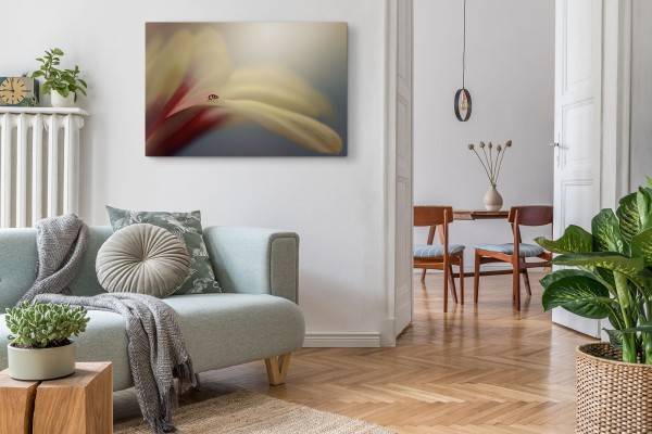 Paul Sinus Art 120x80cm Wandbild auf Leinwand Marienkäfer Makrofotografie Blume Blüte Kunstvoll Letzte 2 Tage
