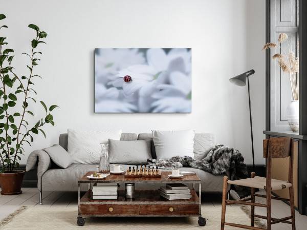 Paul Sinus Art 120x80cm Wandbild auf Leinwand Weiße Blumen Blüten Marienkäfer Makrofotografie Letzter Tag