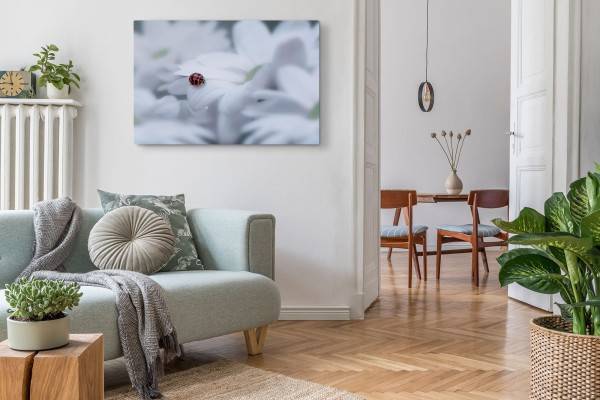 Paul Sinus Art 120x80cm Wandbild auf Leinwand Weiße Blumen Blüten Marienkäfer Makrofotografie Letzter Tag