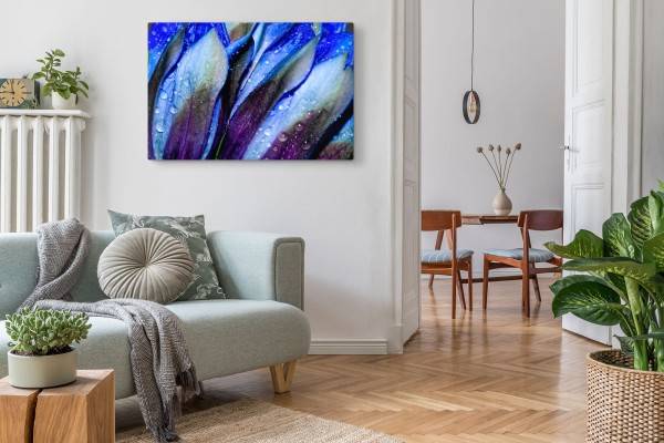 Paul Sinus Art 120x80cm Wandbild auf Leinwand Makrofotografie Blumen Blüten Regentropfen Blau Bis zu 50% Rabatt