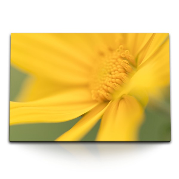Paul Sinus Art 120x80cm Wandbild auf Leinwand Gelbe Blume Blüte Sommer Gelb Makrofotografie