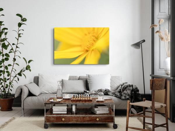Paul Sinus Art 120x80cm Wandbild auf Leinwand Gelbe Blume Blüte Sommer Gelb Makrofotografie Vierteljährliche Förderung