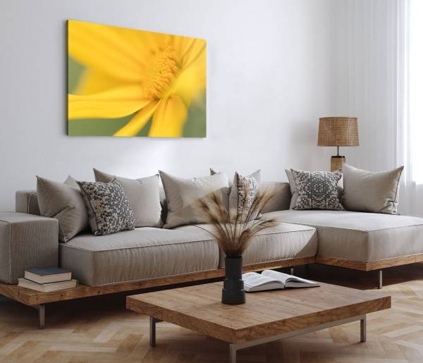 Paul Sinus Art 120x80cm Wandbild auf Leinwand Gelbe Blume Blüte Sommer Gelb Makrofotografie Vierteljährliche Förderung