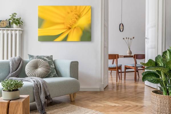 Paul Sinus Art 120x80cm Wandbild auf Leinwand Gelbe Blume Blüte Sommer Gelb Makrofotografie Vierteljährliche Förderung