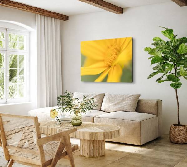 Paul Sinus Art 120x80cm Wandbild auf Leinwand Gelbe Blume Blüte Sommer Gelb Makrofotografie Vierteljährliche Förderung