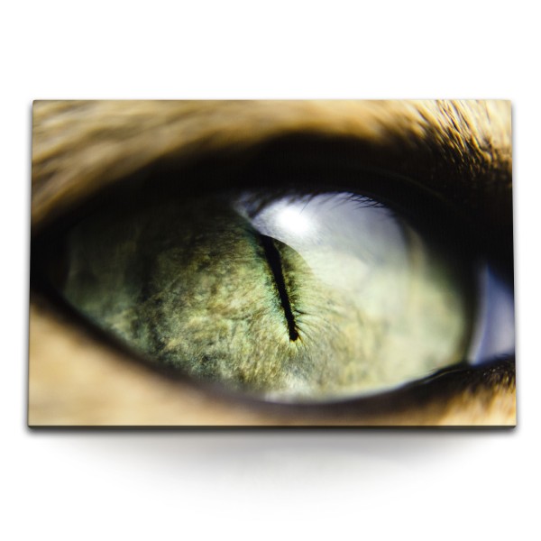 Paul Sinus Art 120x80cm Wandbild auf Leinwand Makrofotografie Katzenauge Raubkatze Auge