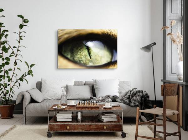 Paul Sinus Art 120x80cm Wandbild auf Leinwand Makrofotografie Katzenauge Raubkatze Auge Bis zu 55% Rabatt