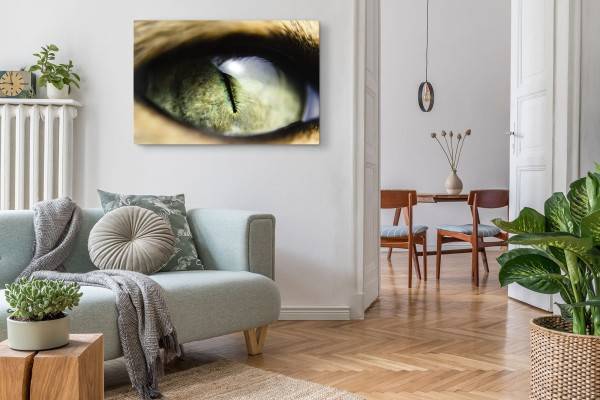 Paul Sinus Art 120x80cm Wandbild auf Leinwand Makrofotografie Katzenauge Raubkatze Auge Bis zu 55% Rabatt